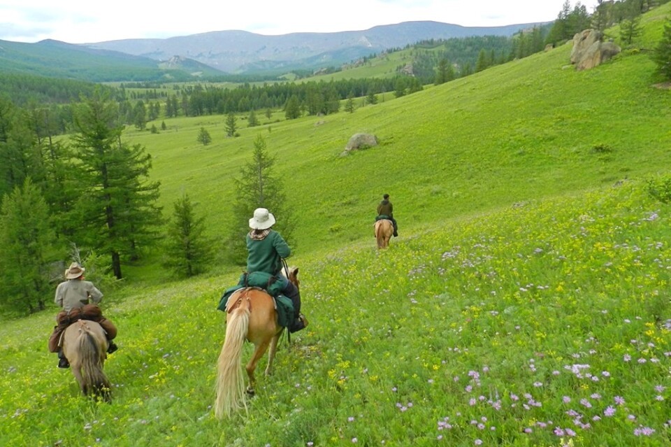 시원하게 피서와 낭만을 즐길 수 있는 몽골의 아름다운 초원.