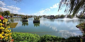 부여 궁남지에서 펼쳐지는 국화축제